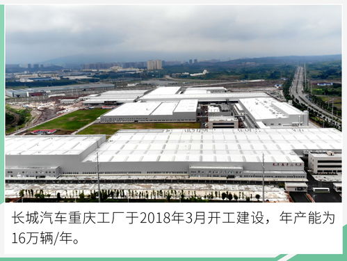 10万用户竟然为它疯狂 长城工厂瞬间变身音乐节